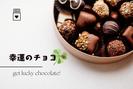 グランスタ東京＊幸運のチョコレート＆スイーツ販売（株式会社アクトプラス販売事業部）/aphl5291のアルバイト写真