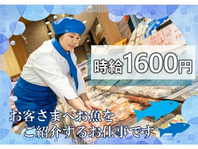 AEON 銚子　試食販売(短期)/SAKT00608Tのアルバイト