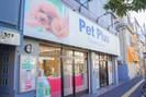 ペットプラストリミングサロン　西大島店のアルバイト写真