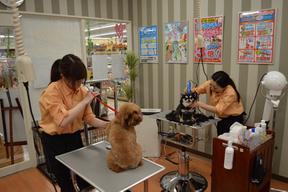 ペットワールドアミーゴ会津若松店のアルバイト写真