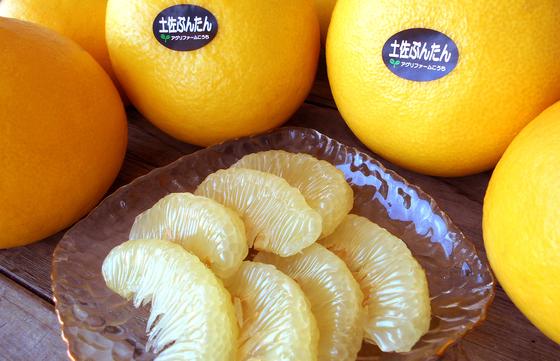 アンプイーマート株式会社のアルバイト写真