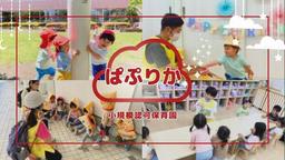 小規模認可保育園　ぱぷりか　上大岡(3480465)