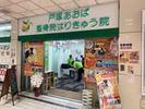 神の倉あおば整骨院はりきゅう院のアルバイト写真