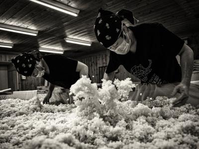 新政酒造株式会社 本社のアルバイト