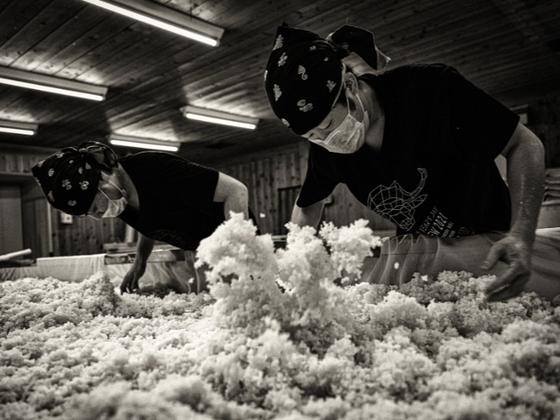 新政酒造株式会社 本社のアルバイト写真