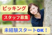 (No.1556)田川市・製品倉庫(株式会社アセットヒューマン)のアルバイト写真(メイン)