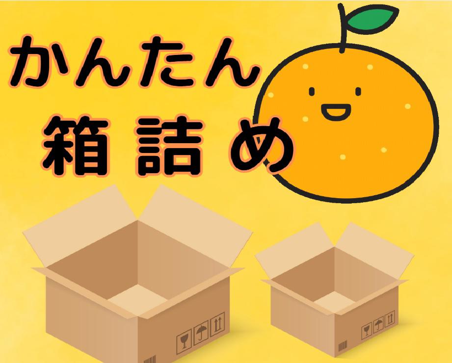 【週払い可】軽作業/工場でおせんべいの梱包/日勤・夜勤・交替勤務...