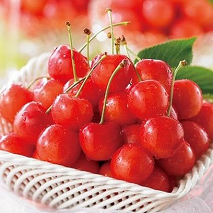 株式会社ベルーナコミュニケーションズ   北関東グルメ   23qaのアルバイト写真