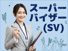 ビーウィズ株式会社_BSVW16402Xのアルバイト