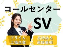 ビーウィズ株式会社_BSVW07038Xのアルバイト