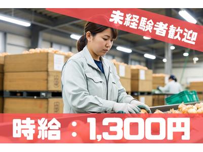 株式会社ブラステック[1]/okh0028のアルバイト