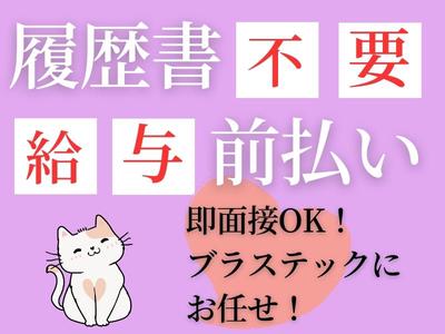 株式会社ブラステック/sap0055のアルバイト