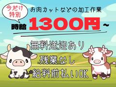 株式会社ブラステック[16]/sap0001のアルバイト