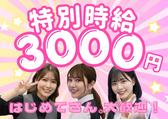 有限会社ブライトワークス 採用受付係 港区KM3Bのアルバイト写真