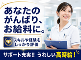 株式会社キャリア SC岐阜／看護【各務原市-015】のアルバイト写真