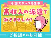株式会社キャリア SC高槻／看護【枚方市-003】のアルバイト写真