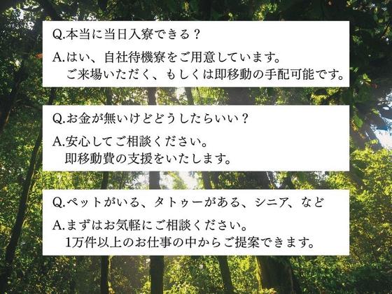 株式会社CATSのアルバイト写真