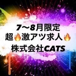 株式会社CATSのアルバイト写真