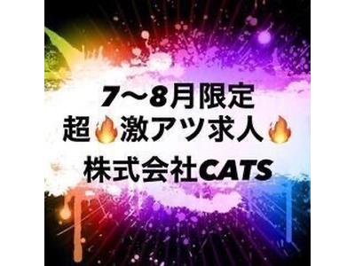 株式会社CATSのアルバイト