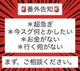 株式会社CATSのアルバイト写真