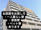 株式会社CATSのアルバイト写真