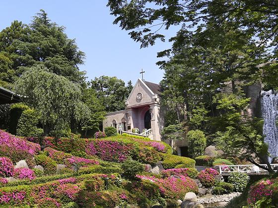 RoyalGardenPalace柏日本閣 山野愛子美容室 (婚礼・新郎新婦担当)のアルバイト写真