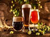 SUPERDRY TOKYO　BEER DINERのアルバイト写真
