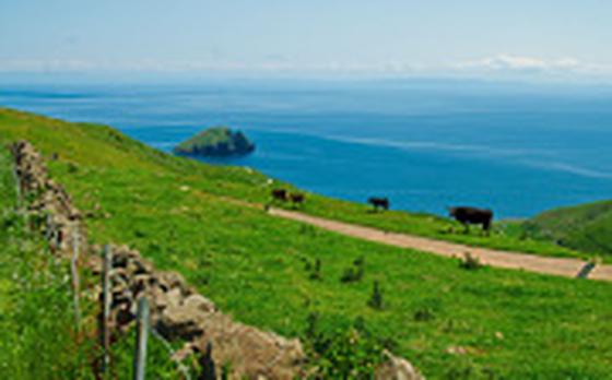 知夫村役場のアルバイト写真