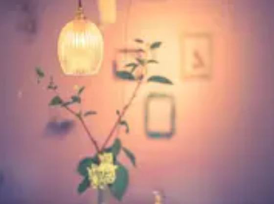 株式会社シエロ_大阪府【施術スタッフ】メイクアップスタッフ阪神ディアモール大阪店/Q【002】KB12のアルバイト写真