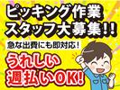 株式会社コアワークス【倉庫内ピッキング作業】（川崎区）dのアルバイト写真