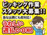 株式会社コアワークス【倉庫内ピッキング作業】（東京都大田区）bのアルバイト写真