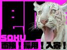 大真綜合警備保障株式会社 ※横浜市磯子区エリア(07)Bのアルバイト写真