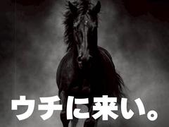 株式会社ダークホース 赤羽エリアのアルバイト