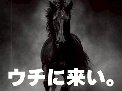 株式会社ダークホース 赤羽エリアのアルバイト