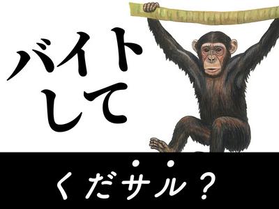 株式会社ダークホース 大宮エリアのアルバイト