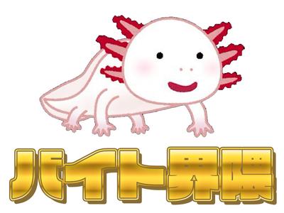 株式会社ダークホース 川崎エリアのアルバイト写真