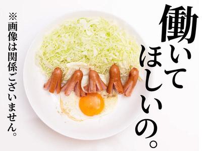 株式会社ダークホース 豊洲エリアのアルバイト