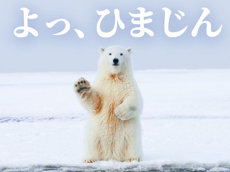 「即・勤・務！」無職もフリーターも大歓迎！【単発・短期OK】登録...