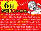 株式会社ダークホース 大宮エリアのアルバイト写真