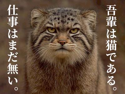 株式会社ダークホース 四ツ谷エリアのアルバイト