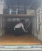 株式会社ディライト 葬儀場でのセレモニースタッフ/1084【001】のアルバイト写真