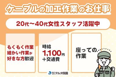 株式会社デルタ四国(ケーブルの組立加工作業)のアルバイト写真