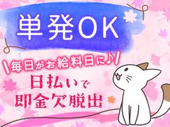 ディアスタッフ株式会社【007】300/品川のアルバイト