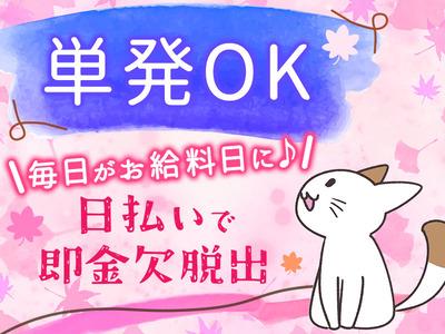ディアスタッフ株式会社【007】694/桜新町のアルバイト