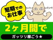 ディアスタッフ株式会社【007】663/小田原のアルバイト写真1