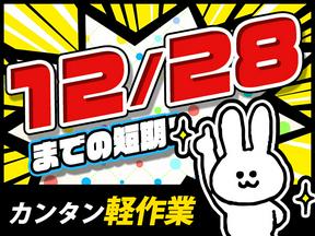 ディアスタッフ株式会社【007】725/東福生のアルバイト写真