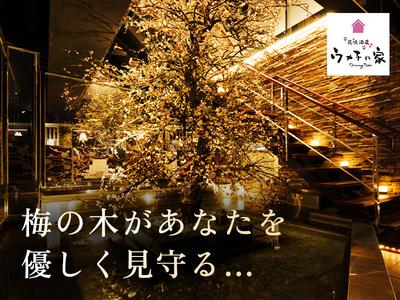 ウメ子の家日本橋八重洲店[mb3303]神田エリア (深夜)のアルバイト写真