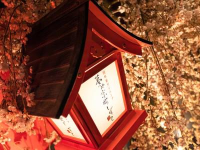楽蔵うたげ京都駅前店[mb35571]東寺エリア10のアルバイト