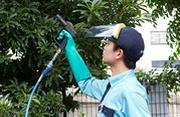 ダスキン高丸トータルグリーン（庭木管理スタッフ）のアルバイト写真3