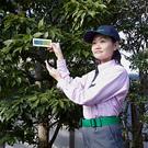 ダスキンクーリィー　トータルグリーン（庭木の管理スタッフ）のアルバイト小写真2